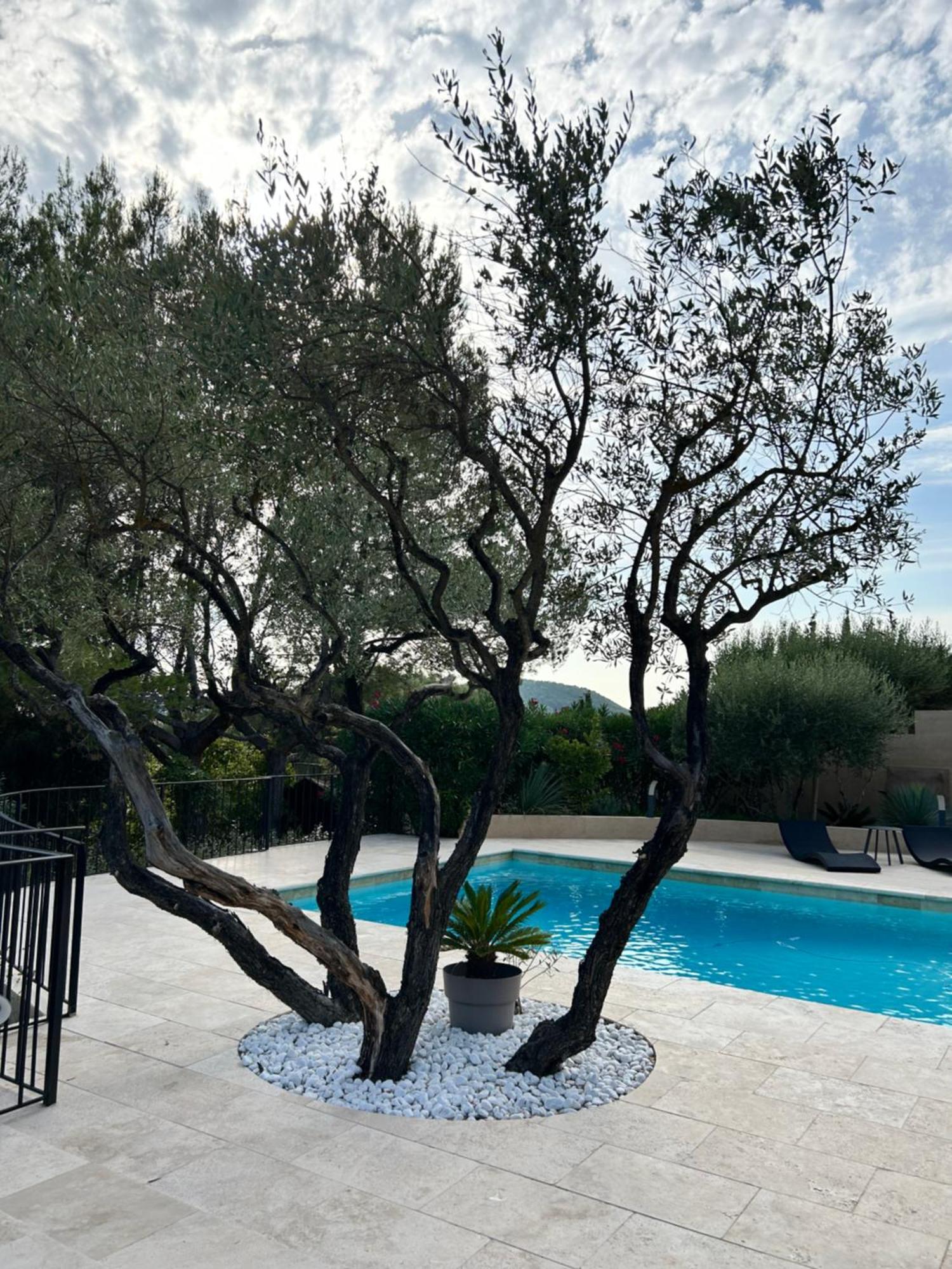 Villa De Charme En Campagne Avec Piscine Privee Et Nature Luxuriante لو بوزيت المظهر الخارجي الصورة
